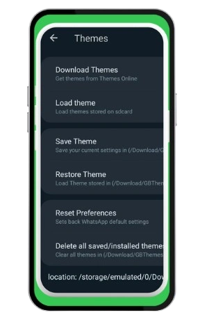 Customization of Themes