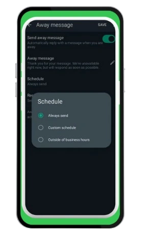 Schedule & Auto-Reply